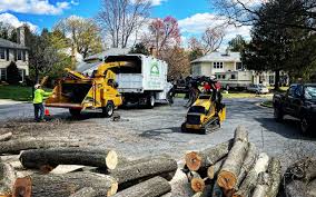 Best Pest Control for Lawns  in Aiken, SC